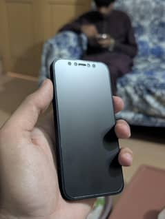 12 mini