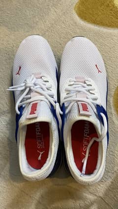 Brand New PUMA Running Shoes (US Import) – White & Blue | Unused