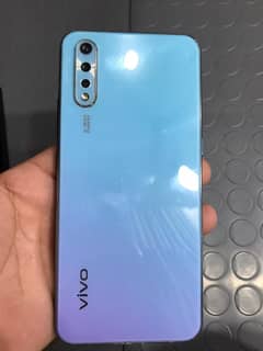 vivo