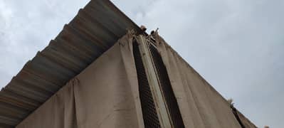 Master Cagr for sale for Birds
