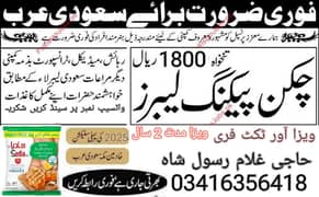 visa and ticket free Saudia Arabia kliya
