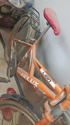 Helux Lion Cycle