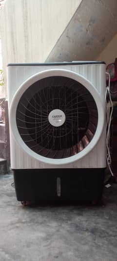 condoor
