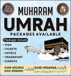 Umrah Booking Open/Umrah Package /Reasonable umrah/Economy,Star