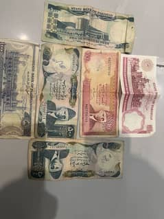 Pakistani