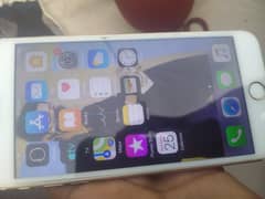 iPhone 6 plus