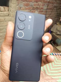 vivo