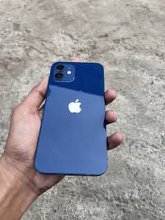 Iphone12(factory