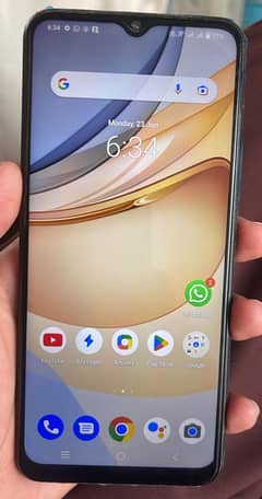 Vivo