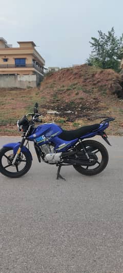 Yamaha