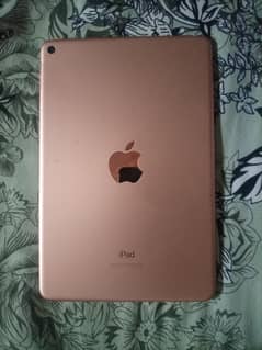 Ipad mini 5