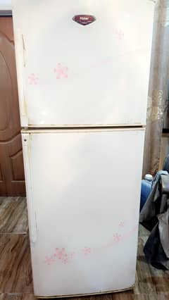 Haier Full-Size Double Door Refrigerator