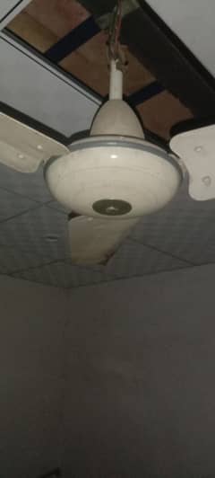 Home fan