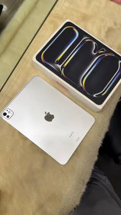 iPad Pro M4 11inch 256gb