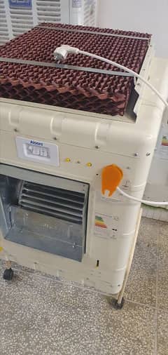 Alooni