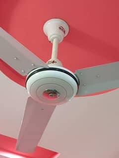 Ceiling