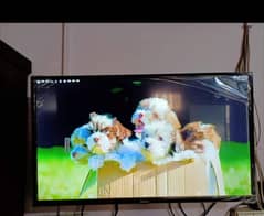 Miracast