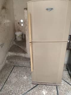 fridge Refrigerator