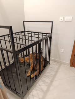 Cage