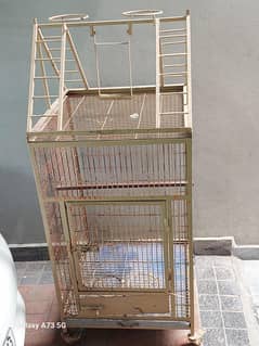 cage sele