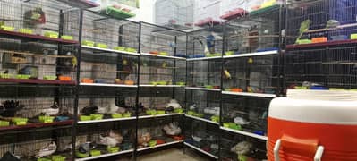 cages