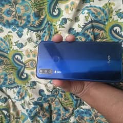 VIvo