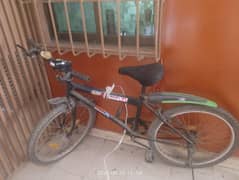 you cycle