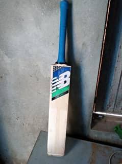 cricket heard bat