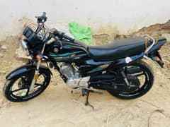 yamaha ybr dx