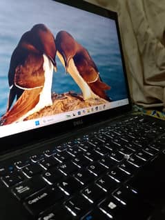Dell