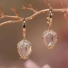 Beautifull Delicate Earrings