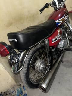 Honda 125 (2019/20)