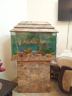 Fish Tank (with 9 fishes, decor, pump, light, fish food, medicine)