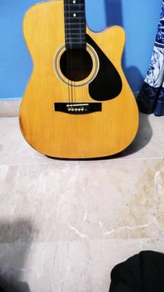 Kapok