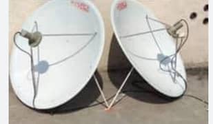 Dish
