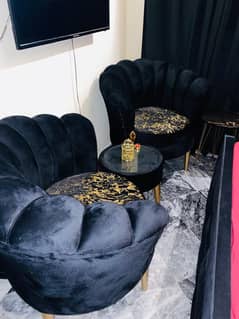 Coffee table/Room chairs