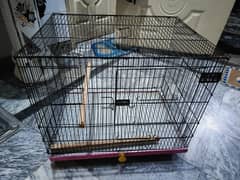 birds cage
