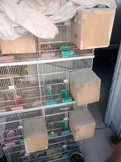 8 portion cage