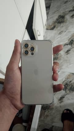 12pro