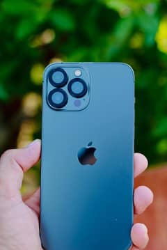 13pro