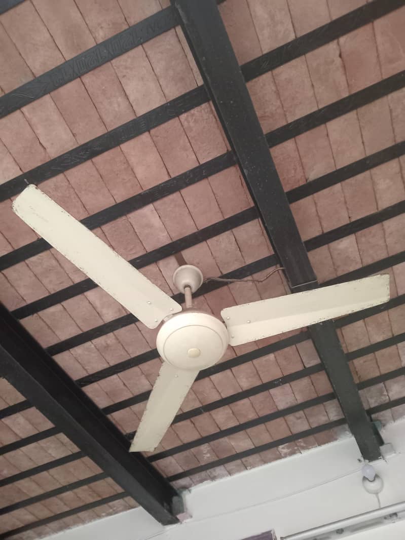 Ceiling Fan 1