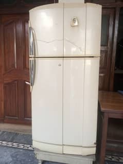 PEL Refrigerator / fridge