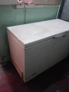 D Freezer