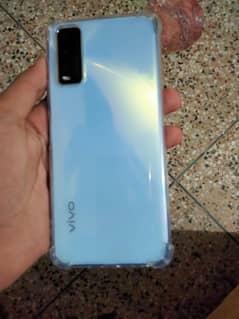 VIVO