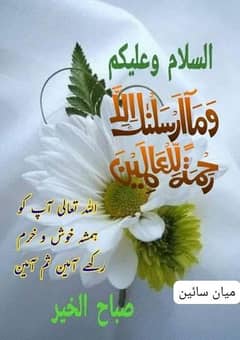 Parsnol