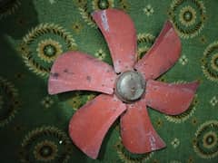 cooler Fan