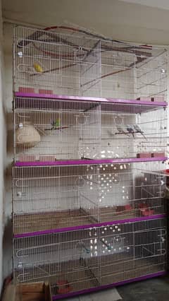 5 months use cage 10 by 9 condition