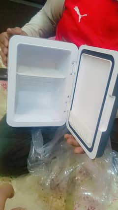 mini car fridge