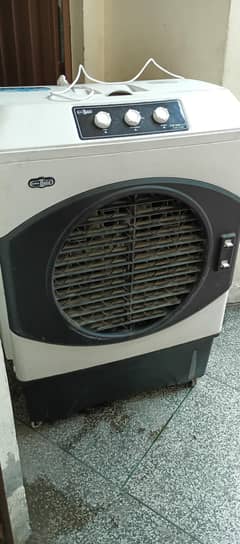 Super Asia Cooler for Sale