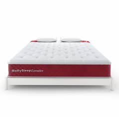 Molty Sleep Executive